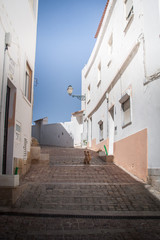 A beautiful street view in Portugal