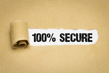 100% Secure