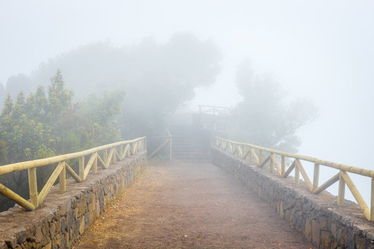 Fototapeta mountain trail in the foggy day, Tenerife