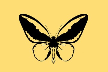 kresba motýla na žlutém pozadí