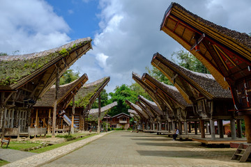 Tongkonan in Tana Toraja 3