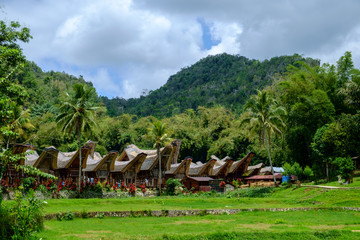 Tongkonan in Tana Toraja 2