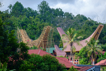Tongkonan in Tana Toraja 1