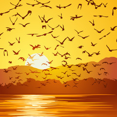 Naklejka premium Square illustration flock of birds at sunset.