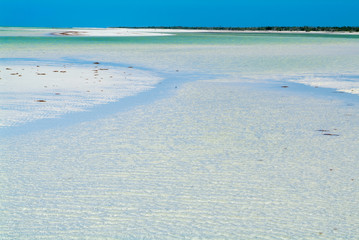 The tropical beach of Holbox