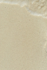 sand texture in the Xpu-Ha beach on the beach of the Caribbean sea of Mexico