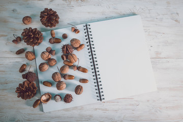 open notebook with acorns and cones