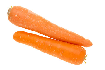 pair carrots