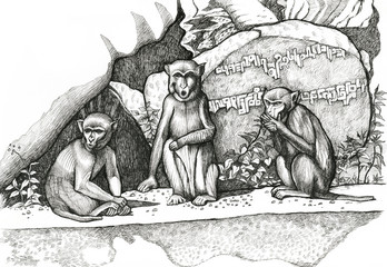 three monkeys, ink graphics