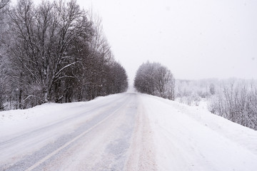Obraz premium winter road in the woods