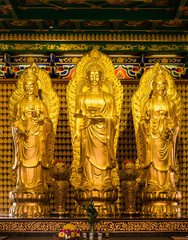 Thai China Buddha Image statue in Wat Leng Nei Yi temple