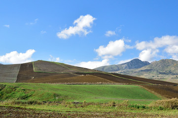 Fototapeta premium Paesaggio collinare dell'entroterra Siciliano, Italia