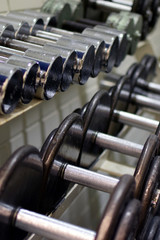 Rows of dumbbells in the gym