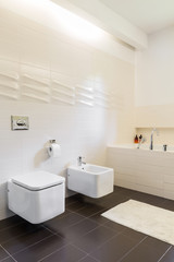 Obraz na płótnie Canvas Bathroom with toilet and bidet