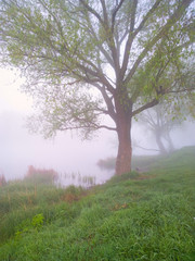 Fog on the river.