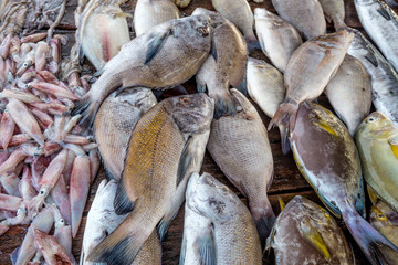 Fresh raw fish and seafood at market