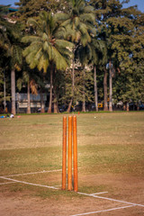 Cricket Stumps