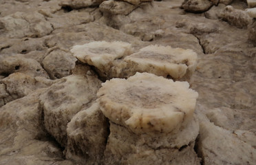 Salt structure close-up inside Dallol volcanic crater in Danakil depression, Afar, Ethiopia