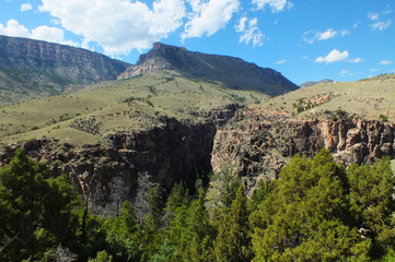 Bighorn Mountains, Wyoming, USA