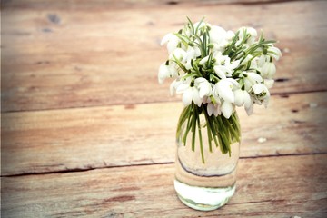 Schneeglöckchen Blumenstrauß - Grußkarte - Frühling