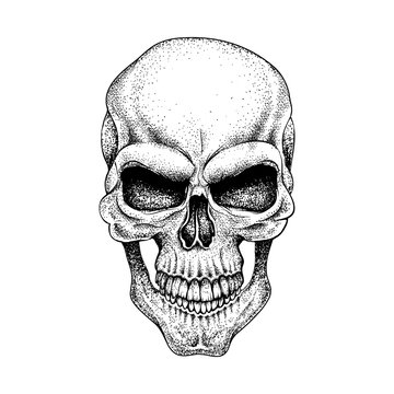 Graphic skull. Dotwork