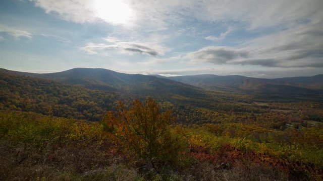 Fall Foliage overlook at Shenandoah National Park 