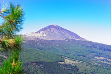 Fototapeta premium volcan Teide with canarian pine forest corona forestal, national park of Tenerife island, Spain
