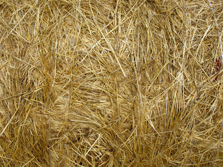 straw background