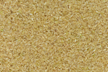 Japan Coarse rice background, Japan brown rice for healthy