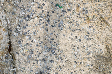 Texture concrete background.