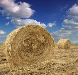 Hay bale in the countryside