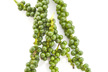 Bunches of fresh green pepper