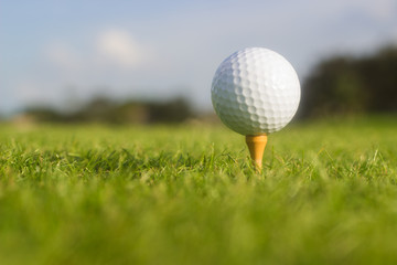 White Golf Ball on Tee