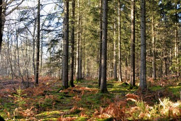 Obraz premium découverte de la Nièvre
