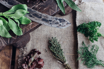 Big vintage kitchen knife surrounded by cooking ingredients - pepper, bok choy, thymus and parsley