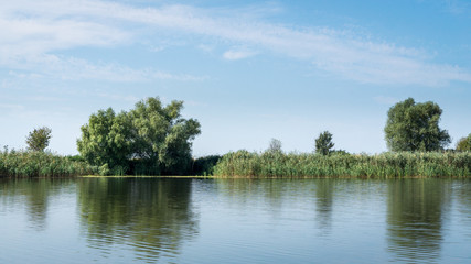 Fototapeta premium Riverbank of the Danube river with reeds and trees. Danube delta, Romania.