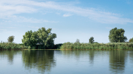 Riverbank of the Danube river with reeds and trees. Danube delta, Romania.