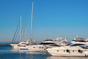 Fototapeta premium White yachts in the port waiting. On the sea is calm.