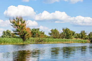 Danube Delta landscape