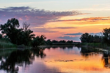 Fototapeta na wymiar Sunset in Danube Delta