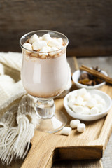Hot cocoa drink with marshmallow