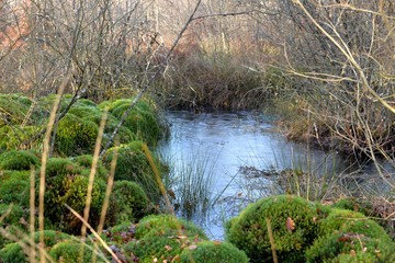 découverte des Mardelles de Prémery