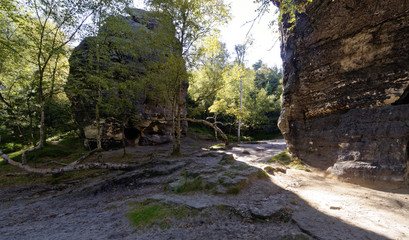 Landscape shot showing rocky structures surrounded by a dense growth of greenery