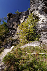 Part of a tall wall formed by rock formations