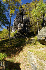 Vertical shot covering rocks and greenery