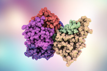 Molecular model of cholera toxin choleragen, 3D illustration. A toxin produced by bacterium Vibrio cholerae that plays crucial role in cholera disease