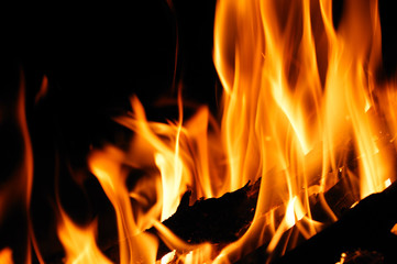 burning firewood and fire flame at night