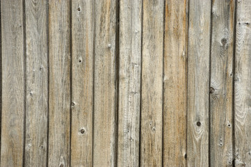 Naklejka premium grunge wood wall background