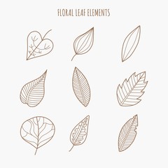 Floral Leaf Elements. Doodle leaf.