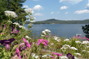 Summer flowers and a view of Merrymeeting Lake